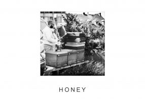 HONEY